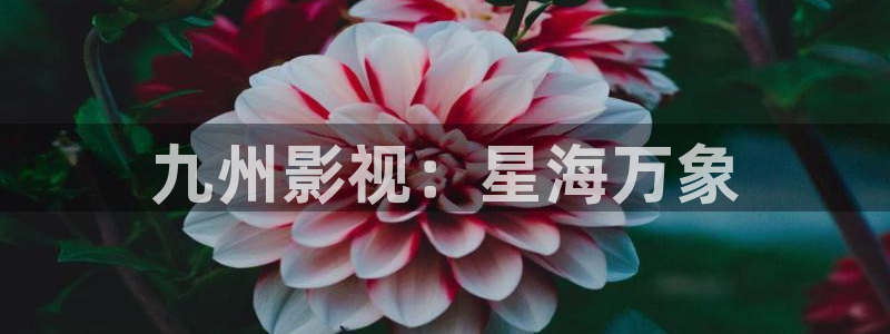 青苹果影院高清网电视剧免费观看