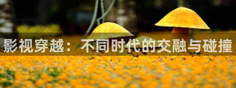 yy4800万达影院青苹果