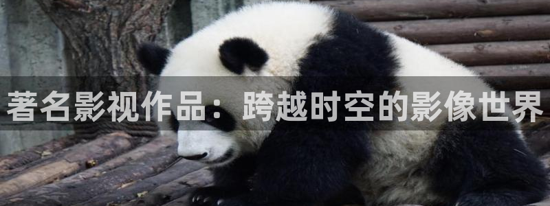 青苹果影院理论：著名影视作品：跨越时空的影像世界